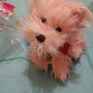 BEAUTIFUL JUICY COUTURE PUPPY